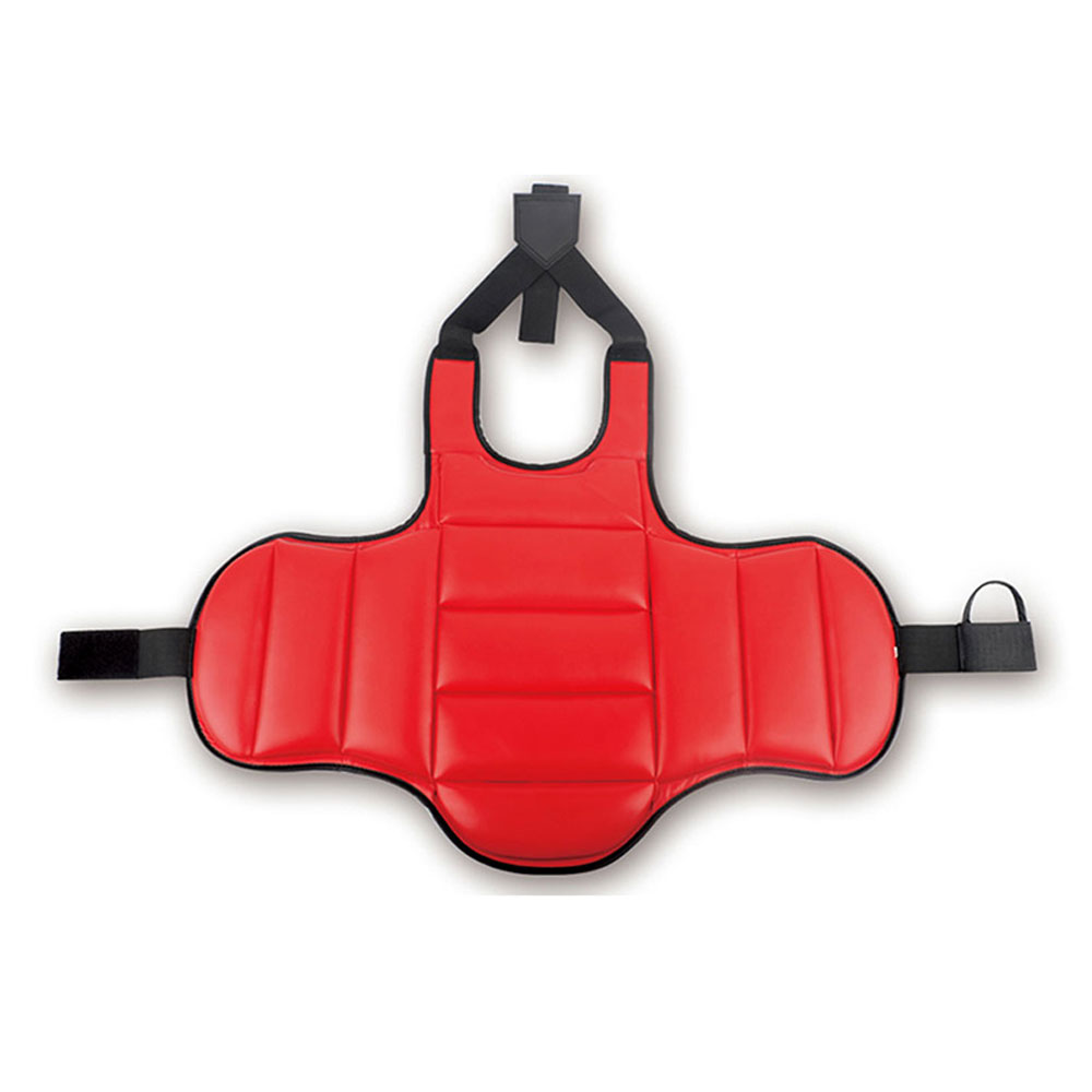 Taekwondo Chest Guard 2