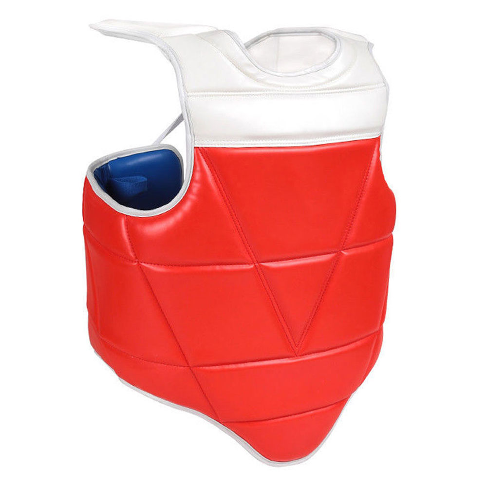 Taekwondo Chest Guard 1