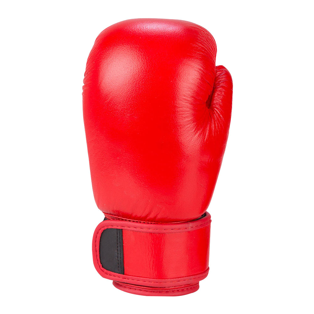 Boxing Gloves 2