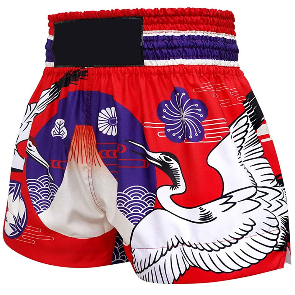 Muay Thai Shorts21