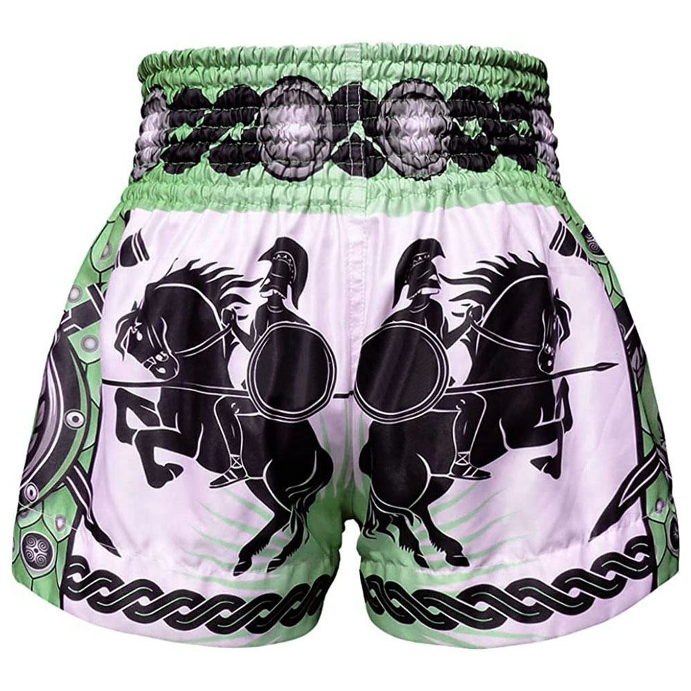 Muay Thai Shorts009