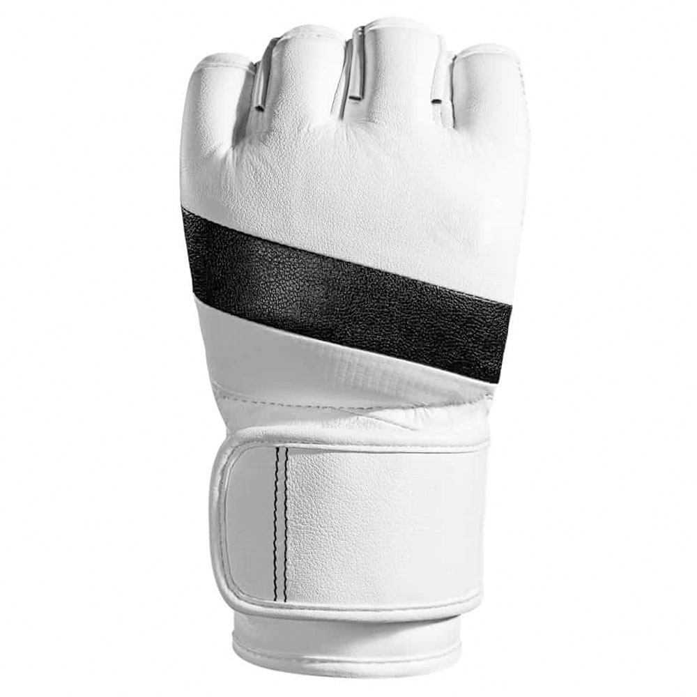 MMA Gloves 10
