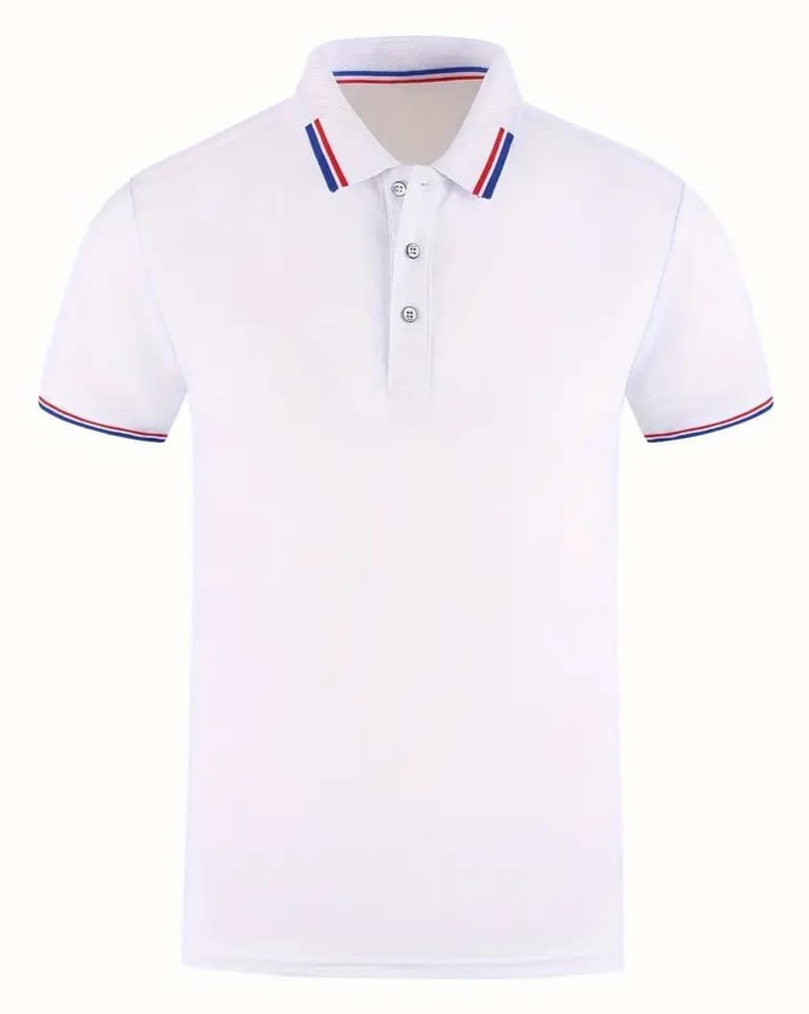 polo shirt 2